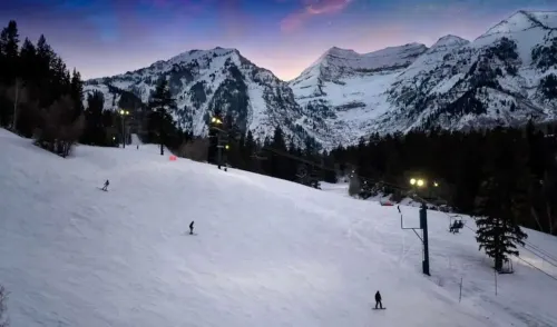 Cozy & Bright Private Basement