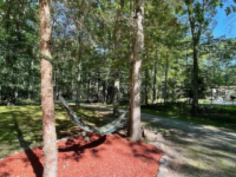 Cozy Modern Cabin in the Woods Hotels in Paupack Township