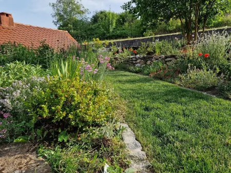 Apartment Mittelmühle in the Franconian Switzerland Отели в г. Верхняя Франкония