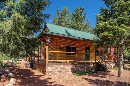 Cozy Cabin & Hot Tub Pet Friendly with AC and Fast WiFi in Duck Creek Village