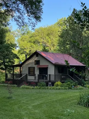 Cozy Nottely River Cabin. Close to lake, hiking trails, and Vogel State Park. Hotels near Beasley Knob OHV Area
