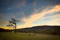Trabucco Gardens - Yosemite Gold Country Stargazing Retreat!