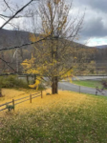 Inviting, Cozy Catskills Home - Primed for Fall!