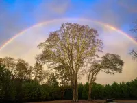 Quaint Carriage House - Minutes from Senoia and Trilith Studios.