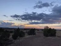 Quaint Tiny Home on Working Homestead-20 mins from Show Low! Hotels in Taylor