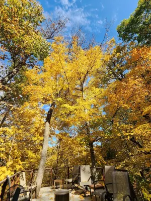 Secluded in The Woods Hotels in 