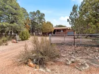 Comfy, Cozy Cabin in the Mountains with a large front porch. Pet-Friendly! Hotéis em Heber