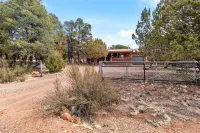 Comfy, Cozy Cabin in the Mountains with a large front porch. Pet-Friendly!