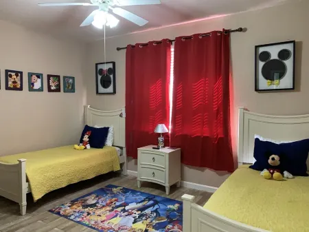 Mickey & Minnie mouse dream trip