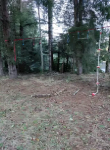 Redwood Family Hideaway Hotels in McKinleyville