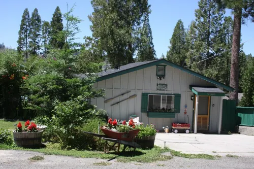 Bass Lake Cozy Cottage near Yosemite
