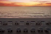 Sirata Beach Resort St Pete Beach - Beach