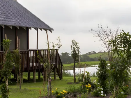 Misty Mountain Reserve