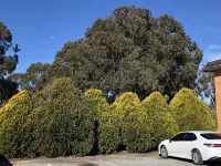 Canberra Lyneham Motor Inn - Motels