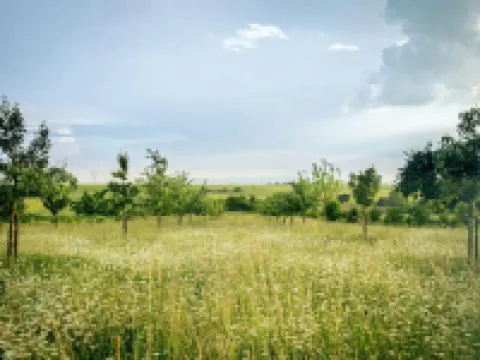 ドッペルハウスヘルフテ、ツィングスト ツィングシュトのホテル