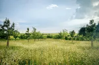 Doppelhaushälfte, Zingst