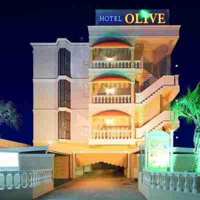 호텔 파인 올리브 사카이 어덜트 온리 Hotel Exterior