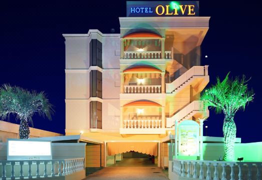 호텔 파인 올리브 사카이 외관