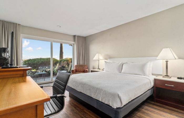 Vagabond Inn Executive SFO