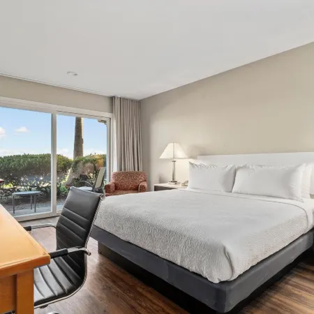 Vagabond Inn Executive SFO