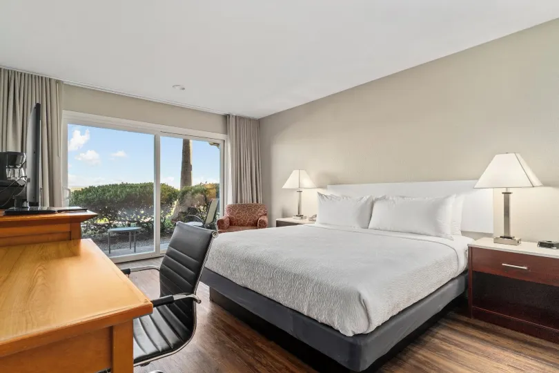 Vagabond Inn Executive SFO