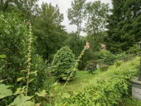 노이슈타트의 환영하는 방갈로 Neustadt Harz 호텔