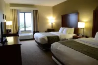 Comfort Inn & Suites - Wifi
