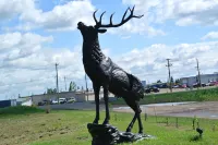 Vegreville Garden Inn