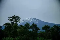 Dual Mountain View Lodge Hotels in Moshi Rural