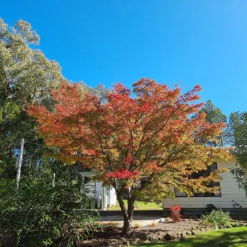 Golden Heritage Apartments Beechworth