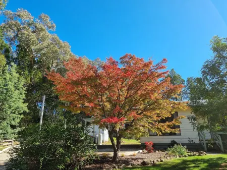 Golden Heritage Apartments Beechworth