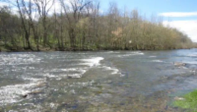 Shenandoah River Cabin