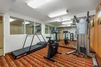 奧勒姆舒適套房酒店-普羅沃 - 健身室/gym room
