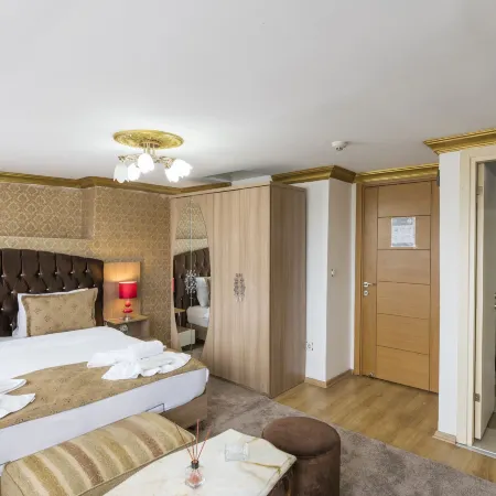 Punto Suite