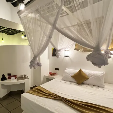 Zanzi House