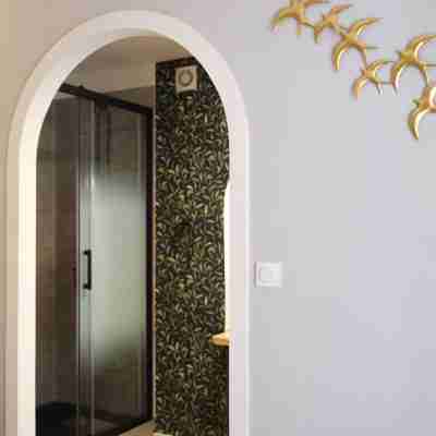 Les Oiseaux de Passage Others