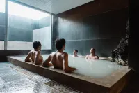WPÜ Hotel Hakone - suối nước nóng