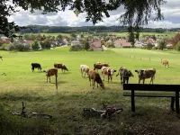 託亞度假公寓 阿萊茨豪森住宿飯店