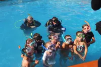 Warrnambool Motel and Holiday Park - Pools