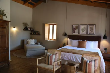 Alma Liebre Viñedos del Valle