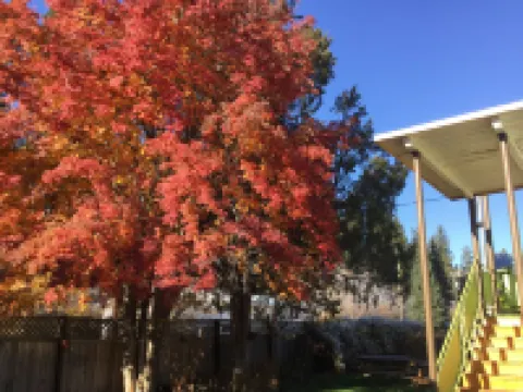 Cedars Motel Hotels in Princeton