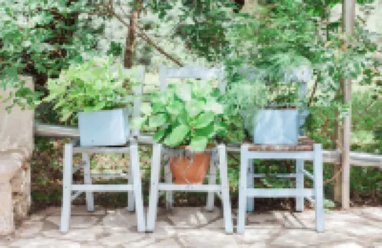 阿弗洛狄忒旅館