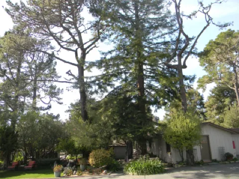 كارمل ريزورت إن Hotels near كارميل-بي-ثي-سي