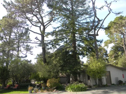 Carmel Resort Inn Hotels in Carmel-by-the-Sea