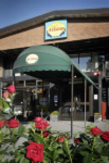 Ariston Hotell Hotels near Millesgården Museum