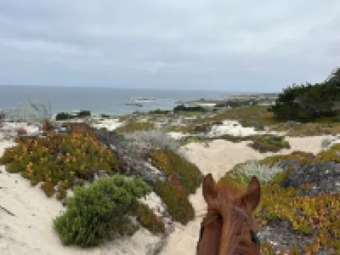 Monarch Valley Inn Marina at Monterey Bay Hoteles en Marina