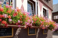 Landgasthof Zum Stern Wasserkuppe Rhön Hotels in Gersfeld