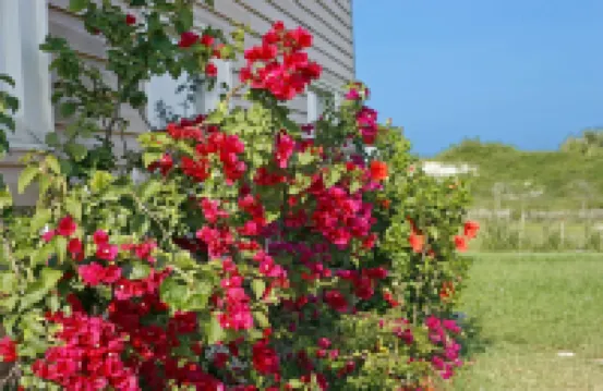 Beachfront Bed & Breakfast