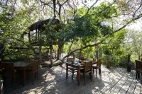Amaara Forest Hotel Sigiriya Hotels near Sigiriya Museum