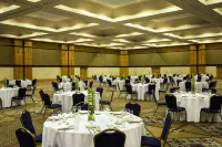 Sheraton Birmingham Hotel - Pet friendly